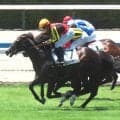 【小倉５Ｒ・２歳新馬】クロワデュノールの「キタサンブラック産駒×斉藤崇厩舎」から大物候補　エルドボルグ勝ち切る