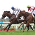 【函館５Ｒ・２歳新馬】デアグランツが武豊騎手のイッペイの猛追しのいで初勝利　浜中俊騎手「２着馬が来たら…」
