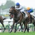 【函館5R新馬戦結果】サトノダイヤモンド産駒デアグランツが初陣飾る