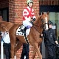 【函館５Ｒ】５０００勝目前の武豊騎手はイッペイで首差２着　「調教の動きより良かったです」　勝ち馬に迫り大歓声も