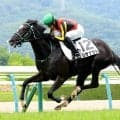 【福島５Ｒ・２歳新馬】エアグルーヴの孫リサナウトが３馬身半差の快勝デビュー　坂井瑠星騎手「センスのいい走りでした」