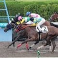 「これも通過点？」「やっぱりレジェンド」不滅の記録を達成した武豊騎手に祝福の嵐　函館７Ｒのヒミノエトワール