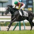 【福島5R新馬戦結果】リオンディーズ産駒リサナウトが3馬身半差でV 祖母はエアグルーヴ