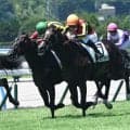 【小倉5R新馬戦結果】キタサンブラック産駒エルドボルグが接戦を制す