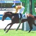 【小倉６Ｒ・２歳新馬】３番人気のマルモリムソウが押し切って快勝　泉谷楓真騎手「体がしっかりすればもっと…」