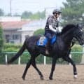 日曜福島競馬場の注目激走馬…福島１１Ｒ七夕賞・Ｇ３