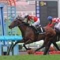 【函館９Ｒ・北海Ｈ】「いい馬です」５０００勝達成の武豊騎手のテルヒコウは２着　ＧＬＡＹ・ＴＥＲＵの前で勝利ならず
