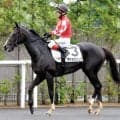 【福島５Ｒ・２歳新馬】新種牡馬オジュウチョウサン産駒のタクミオジュウは１４着　小島調教師「調教の良さを…」