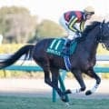 【七夕賞・馬体重】カラマティアノスは472kg(-2)、バトルボーンは506kg(±0)