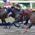 【函館7R】ヒミノエトワールが混戦から抜け出す…武豊騎手は通算5000勝達成