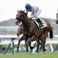 【新馬/函館5R】デアグランツが鮮やか差し切りV…武豊騎乗イッペイの追撃を封じる