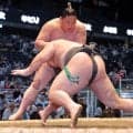抜群の部屋人気誇る三田、幕下復帰で白星発進「勝ちにこだわりたい」【大相撲】