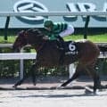 【阿蘇S結果】レイナデアルシーラが逃げ切りオープン初勝利