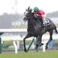 【巴賞】伏兵ヴーレヴーが鮮やかに抜け出す…3馬身半差圧勝で波乱演出