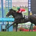 【函館１１Ｒ・巴賞】ヴーレヴーが２０００メートルでガラリ一変の楽勝　吉田隼人騎手「びっくりしました」