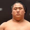 緊急手術で休場の若隆景は現在も入院中、師匠が優勝旗返還式に出席【大相撲】