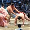カド番の琴桜は初日白星スタート　難敵・隆の勝に完勝