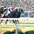 【吉田が武豊騎手を見た】ネットがない時代「歩く競馬四季報」と呼ばれた３０数年前　馬の新味引き出す「豊マジック」