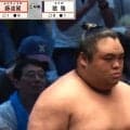 「え、ドアラやないか」大相撲、土俵上にドアラが…？ ご当所ならではの粋な計らいにファン興奮