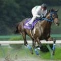 【盛岡・やまびこ賞結果】レジェンドバローズが断然人気に応え9馬身差圧勝
