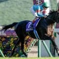 注目のイクイノックス産駒 今年のセレクトセール上場馬は