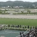 「豪華すぎんか」七夕賞の“スター誘導馬軍団”粋なメンバー選定と変わらぬ姿にファン歓喜「泣いた」「本当にアツい」
