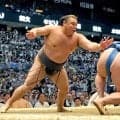 大関霧島　綱とりへ好発進　藤ノ川を圧倒「自分から圧かけられた」　勢いは十分「一日一番で。乗っていかないと」