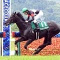 【七夕賞】アスクナイスショー、２馬身半差で重賞初制覇　田辺裕信騎手が故郷で夏の「福島２冠」を達成