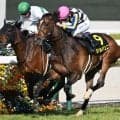 小倉記念と函館2歳Sの2重賞/今週の競馬界の見どころ