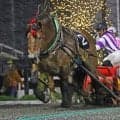 【ばんえい・旭川記念】6番人気タカラキングダムが豪快差し切り！重賞9勝目をマーク