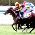 【小倉５Ｒ・２歳新馬】大物感漂うエルドボルグがデビュー戦Ｖ　「キタサンブラック産駒×斉藤崇厩舎」クロワデュノールほうふつ