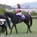 【セレクトセール２０２６】２頭目ではやくも１億円超え！牝馬Ｇ１戦線で活躍ハーパーの半弟「セレスタの２０２５」が１億３５００万円