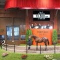 【セレクトセール２０２６】２頭目ではやくも１億円超え！牝馬Ｇ１戦線で活躍ハーパーの半弟「セレスタの２０２５」が１億３５００万円