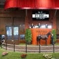 【セレクトセール２０２６】イクイノックス産駒の牡馬が２億１０００万円で落札→手塚貴久厩舎に　「ダービーを」犬塚オーナー