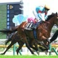 【猪苗代特別・三戸の特注馬】アーモンドアイの初子アロンズロッドが戸崎騎手との新コンビで５戦ぶり勝利を目指す