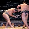 大阪名門校→国立大の異色力士、ちょんまげデビュー戦で白星「気持ちが変わる」朝力丸が勝ち越し誓う【大相撲】