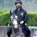 【注目馬動向】アドマイヤテラが凱旋門賞に参戦へ　友道調教師「力の要る馬場は合っている」　メイショウタバルも出走予定　