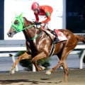 【高知・魚梁瀬杉特別】「最後は馬を信じて追うだけでした」　永森大智騎手とコンビのザガラが逃げ切って２連勝　