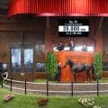 【セレクトセール2026】米G1馬の初仔が3億5000万円…サーチリザルツの2025をエムズレーシングが落札