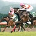 【セレクトセール２０２６】９４００万円でよかよか！　熊本産初のＪＲＡ重賞勝ち母×イクイノックス産駒を窪田芳郎氏が落札