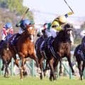 カランダガンとマスカレードボールが昨年のジャパンＣ以来の再戦　英Ｇ１”キングジョージ”のＪＲＡ海外馬券発売が決定