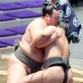 先場所の取組で後頭部を強打し途中休場した夢之富士が復帰戦で白星　「２週間休んで寝ていたので、体が大きくなった」