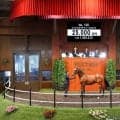 【セレクトセール2026】米最優秀3歳牝馬のキタサンブラック産駒に2億5000万円