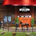【セレクトセール2026】阪神JF2着馬のイクイノックス産駒に2億3000万円…ダノックスが落札