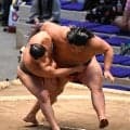同期「竜対決」は竜鳳に軍配、竜翔を寄り切った　千秋楽に初まげ披露の予定