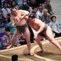 新幕下の旭富士は序ノ口デビューから22連勝、歴代１位常幸龍の27連勝まであと「５」