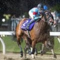 【先週のJRA抹消馬】今年の兵庫女王盃2着馬プロミストジーン、ダート短距離で4勝のアンシールなど