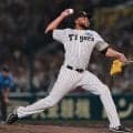 【球宴】阪神ドリス「素直にうれしい」監督推薦で初出場「他チームの選手と関われる機会楽しみ」