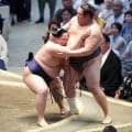 【大相撲】友風が１勝１敗　「相手がうまかったですね」とサバサバとした表情