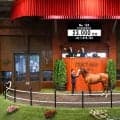 【セレクトセール2026】仏G1馬のキタサンブラック産駒に2億3000万円